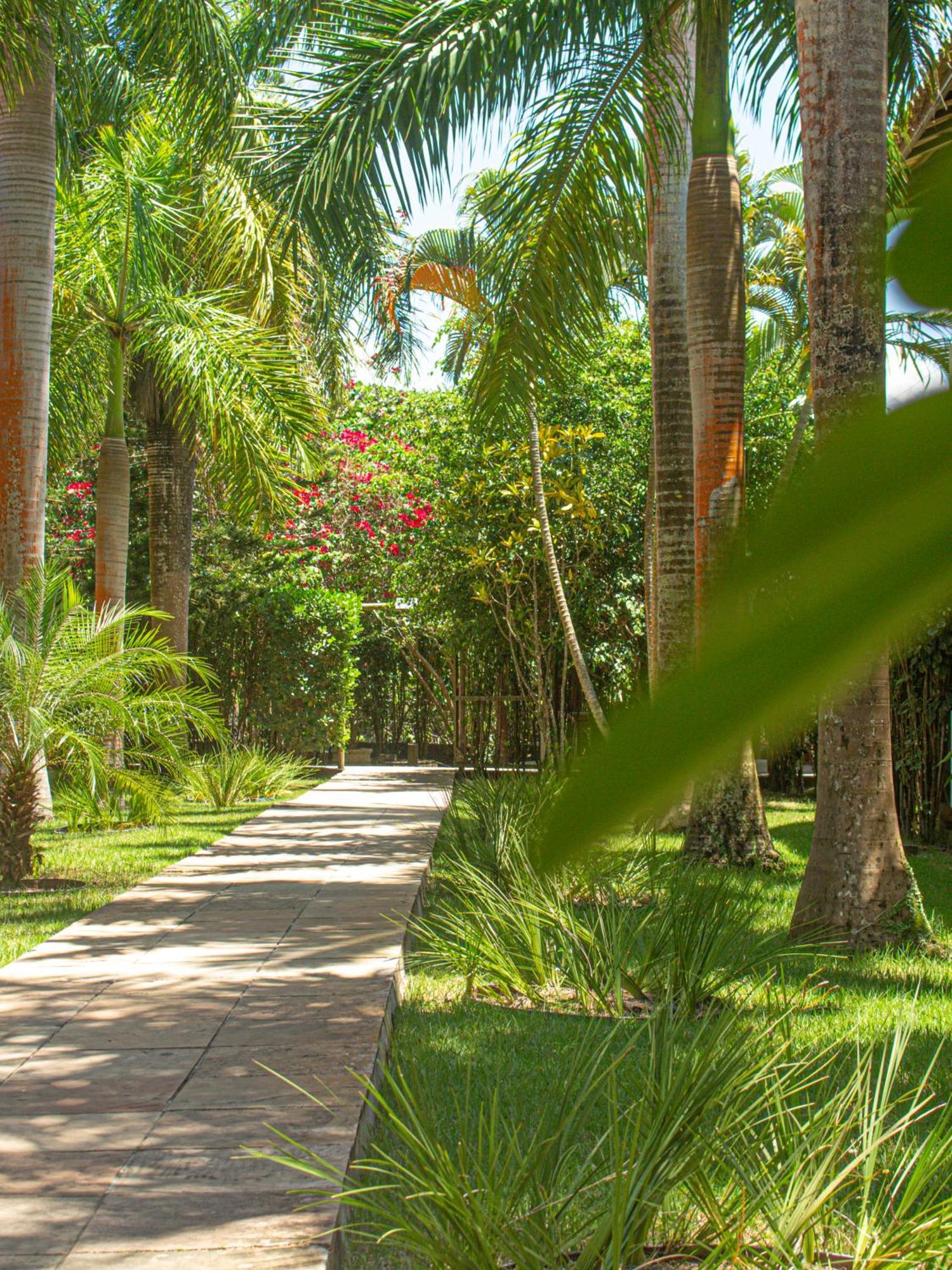 Sunshine Praia Hotel Porto Seguro Kültér fotó